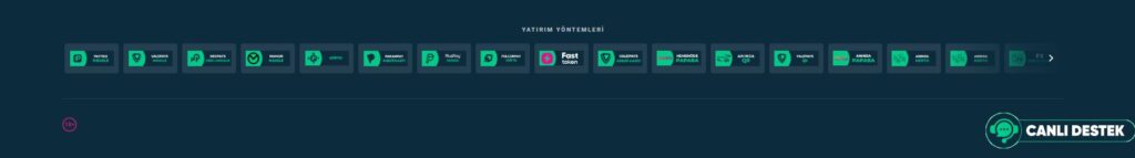 vizebet finansal işlemler